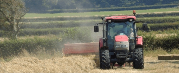 Hay Sales
